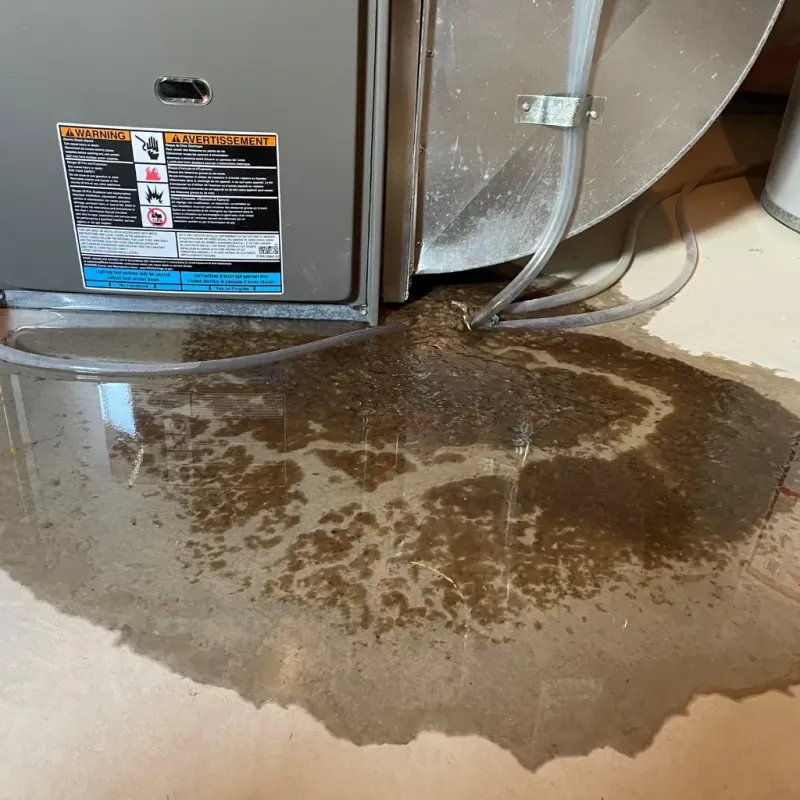 Appliance Leak Cleanup in Ripley, WV