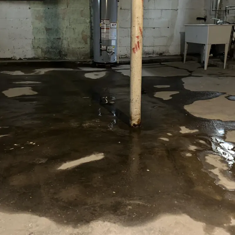 Emergency Water Extraction And Removal in Ripley, WV